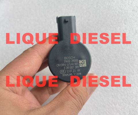 Le régulateur de pression BOSCH DRV 0281007289 0 281 007 289 31402-2R000 fournisseur