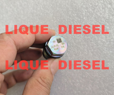 BOSCH 1110010028 Valve de dégagement de pression 1110010028 1 110 010 028 3974093 fournisseur