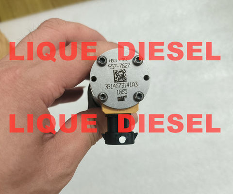 Injecteur CAT 557-7627 5577627 387-9427 3879427 10R-7225 10R7225 pour les excavateurs CAT 324D, 325D, 326D, 328D, 329D fournisseur
