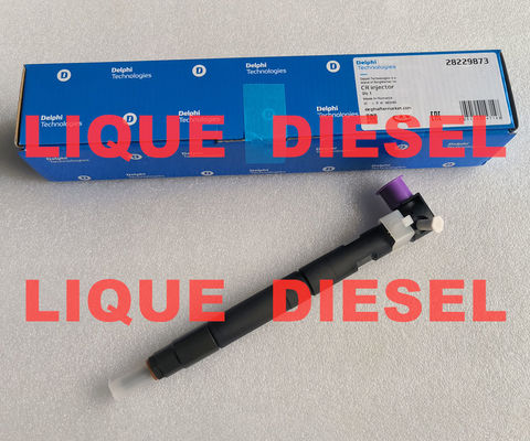 33800-4A710 28229873 DELPHI Injecteur de carburant pour le chemin de fer commun 33800-4A710 28229873 pour le véhicule Hyunda KIA 33800 4A710 338004A710 fournisseur