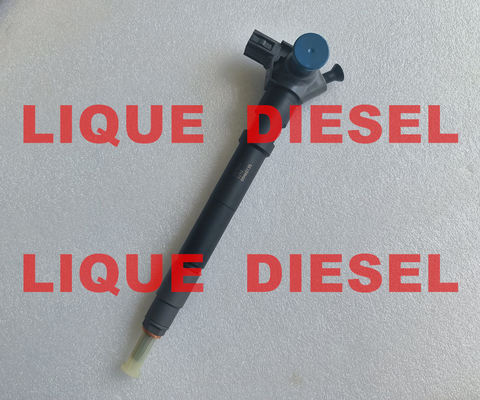 Injecteur Common Rail DENSO 295700-0290 33800-4A950 2957000290 338004A950 pour HYUNDAI D4CB VGT Euro 6 DENSO 0290 fournisseur