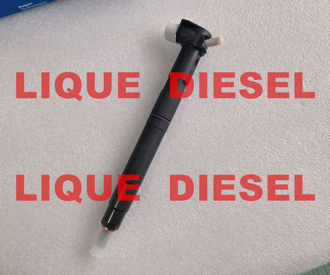 Injecteur DELPHI commun rail 28581266 33800-2A150 338002A150 33800 2A150 fournisseur