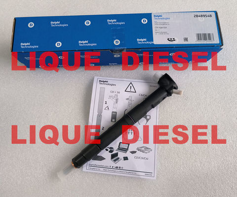 Injecteur DELPHI commun rail 28581266 33800-2A150 338002A150 33800 2A150 fournisseur