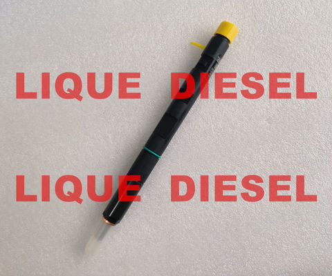 DELPHI Injecteur à rail commun EJBR05001D R05001D 320/06623 320-06623 fournisseur