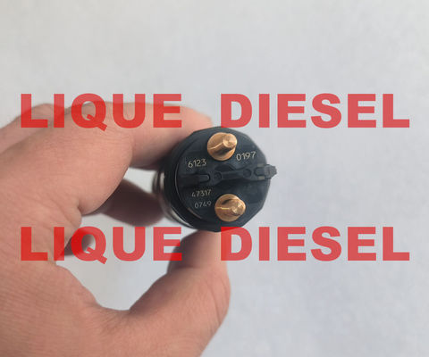 BOSCH 0445120197 51101006123 Fuel Injector Assembly 0 445 120 197 51101006123 For MAN fournisseur