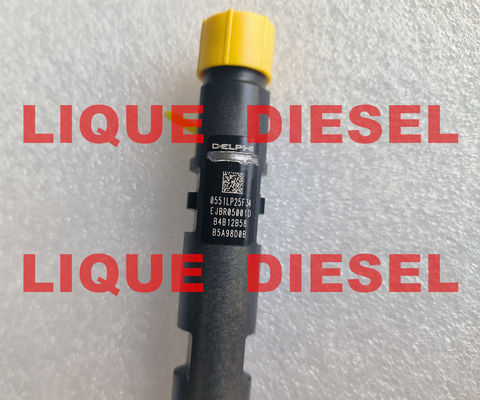 DELPHI Common Rail Injector EJBR05001D R05001D 320/06623 320-06623 32006623 fournisseur