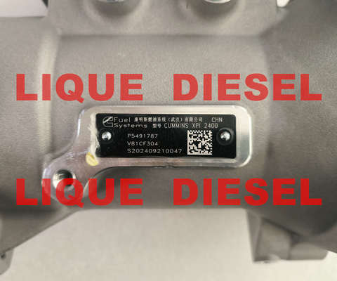 Pompes à carburant P5491787 fournisseur