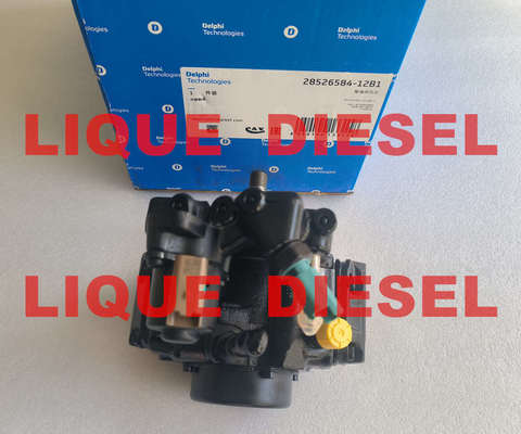 Pompes à carburant DELPHI 28526584 9422A030A A6710700101 A671 070 01 01 6710700101 pour le groupe SSANGYONG D20DTF fournisseur