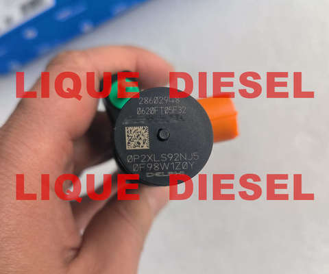 DELPHI Injecteur à rail commun 28602948 9674984080 28388960 28319895 D57Q-9F-893-BB D57Q9F893BB fournisseur