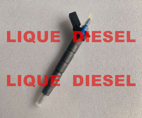 BOSCH Injecteur à rail commun 0445117047 0445117048 0 445 117 047 0 445 117 048 0445117 047 0445117 048 fournisseur