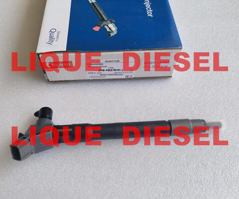 Injecteur Common Rail authentique 295900-0260 DCRI200260 2959000260 2959000260AM SH01-13-H50 SH0113H50 fournisseur
