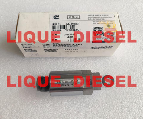 Ventilateur de limite du rail commun 5473196 4954245 4383889 4307195 fournisseur