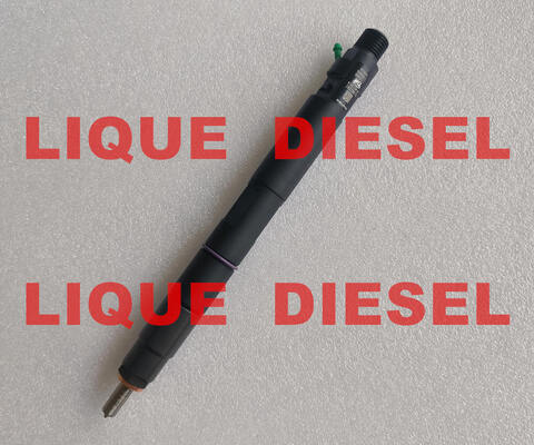 Injecteur de carburant 28229876 Injecteur commun 320 06827 320/06827 32006827 320-06827 pour JCB 4.4D fournisseur