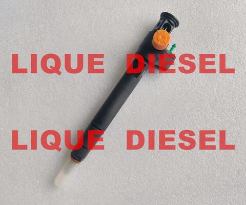 Injecteur commun rail 28602948 9674984080 28388960 28319895 D57Q-9F-893-BB D57Q9F893BB fournisseur