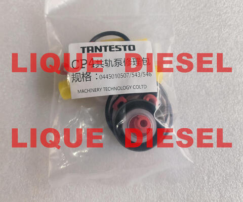 Kits de réparation de pompe CP4 Kits de révision de pompe CP4 pour pompe 0445010507 0445010543 0445010546 fournisseur