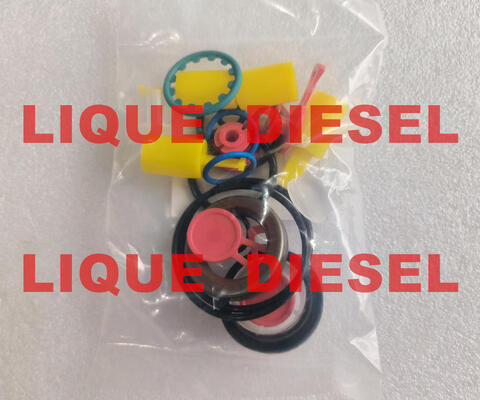 Kits de réparation de pompe CP4 Kits de révision de pompe CP4 pour pompe 0445010507 0445010543 0445010546 fournisseur
