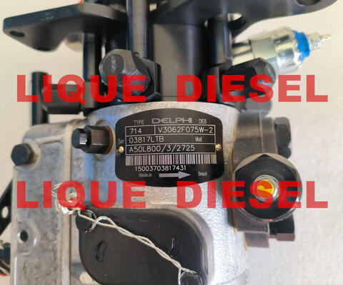 La pompe à carburant 3062F075 3062F074 fournisseur