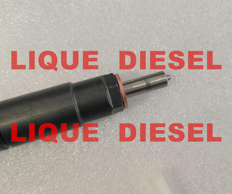 Injecteur de carburant 0445116041 35062005F 445116041 0 445 116 041 350 620 05F 0445116 041 fournisseur