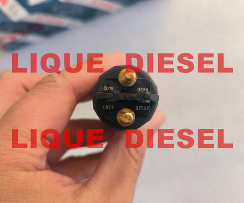 Injecteur Common Rail 0445120196 0 445 120 196 445120196 0445 120 196 fournisseur