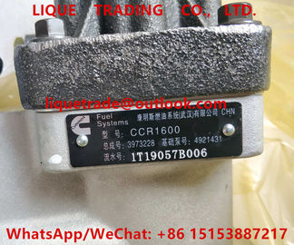 Pompe à essence véritable de Cummins 3973228, 4921431, CCR1600, 4088604, 4954200 pour le moteur d'ÎLE fournisseur