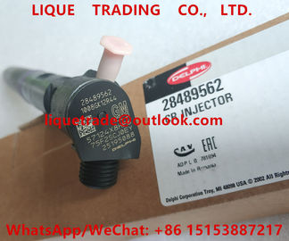 Injecteur de rail de DELPHI Common 28489562/25195088, 28264952/25183185 fournisseur