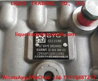 Pompe à essence de Cummins 5313188, POMPE 5313188 de BYC fournisseur