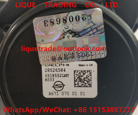 DELPHI Fuel Pump 28526584, 9422A030A, A6710700101, A6720700001 pour SSANGYONG D20DTF fournisseur