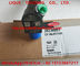 DELPHI Common Rail Injector 28230891, A6510701387 injecteur de carburant 6510701387 fournisseur