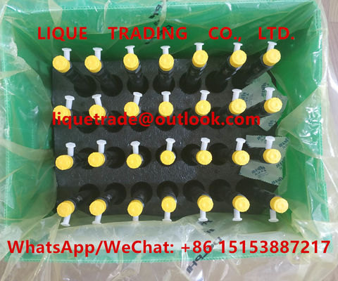 Injecteur 28231014, 1100100-ED01 de DELPHI Fuel pour le vol plané H6 1100100ED01, 1100100 ED01 de Grande Muraille fournisseur