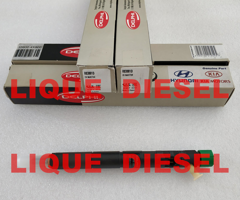 DELPHI Common Rail Injector EJBR03001D/R03001D/33800-4X900/33801-4X900/338004X900/338014X900 fournisseur