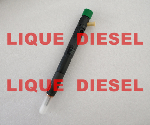 DELPHI Common Rail Injector EJBR03001D/R03001D/33800-4X900/33801-4X900/338004X900/338014X900 fournisseur