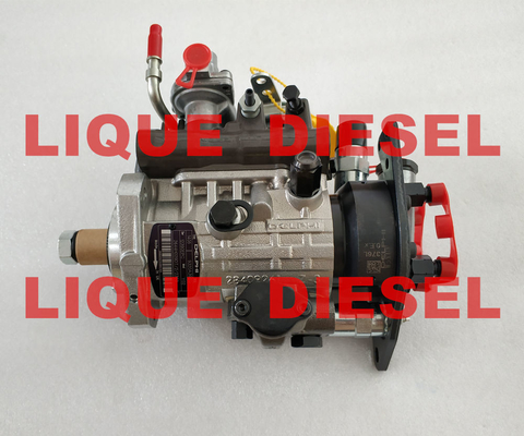 POMPE DIESEL d'INJECTION DE CARBURANT de DELPHI/PERKINS DP210 9320A390G/9320A391G/9320A392G/9320A396G/9320A399G/2644H029 fournisseur