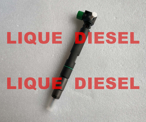 Injecteur de carburant 28347042, 400903-00043E, 400903-00043D, 40090300043D, 400903 00043D de DELPHES pour DOOSAN fournisseur