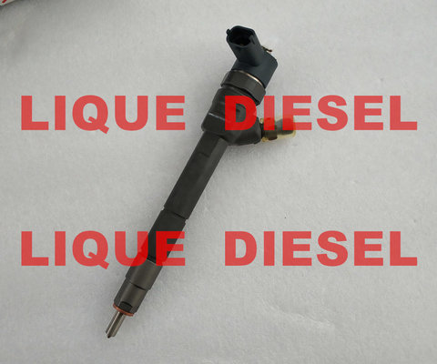 Injecteur commun 0445110634, 0 445 110 634, 0445 110 634 de rail de BOSCH fournisseur