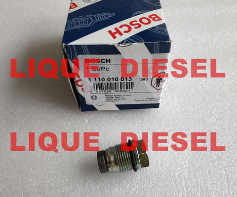 Valve 1 de décompression de BOSCH 110 010 013, 1110010013, 1110 010 013 fournisseur