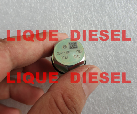 Valve 1 de décompression de BOSCH 110 010 013, 1110010013, 1110 010 013 fournisseur