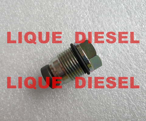 Valve 1 de décompression de BOSCH 110 010 013, 1110010013, 1110 010 013 fournisseur