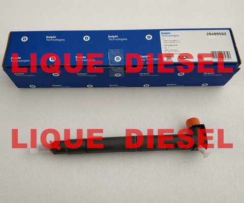Injecteur de carburant 28489562, 25195088, 28264952, 25183185 de DELPHES fournisseur