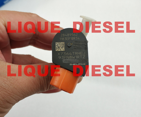 Injecteur de carburant 28489562, 25195088, 28264952, 25183185 de DELPHES fournisseur