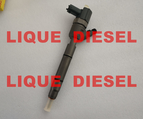 Injecteur de carburant de BOSCH 0445110255, 0445110256, 33800-2A400, 0 445 110 255, 0 445 110 256, 338002A400 pour HYUNDAI et KIA fournisseur