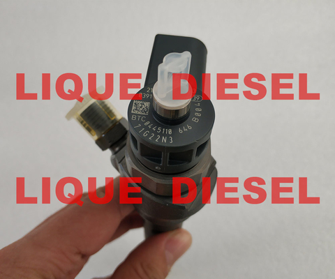 Injecteur commun 0 de rail de BOSCH 445 110 369 0 445 110 368 0 445 110 646 0 445 110 647 03L130855CX fournisseur