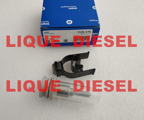 DELPHES ÉQUIPENT LE KIT d'un gicleur 7135-576, 7135 576, 7135576 de CVA, incluent (bec 375 + valve 28615824) fournisseur