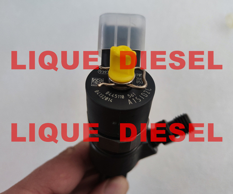 Injecteur commun 0445110561 de rail de BOSCH 0 445 110 561 0445 110 561 445110261 fournisseur